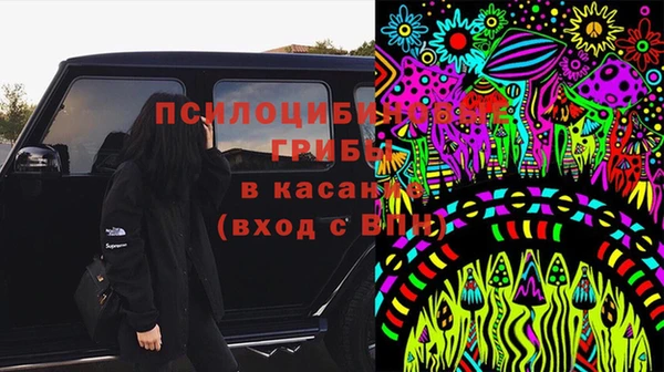 соль ск Алексеевка