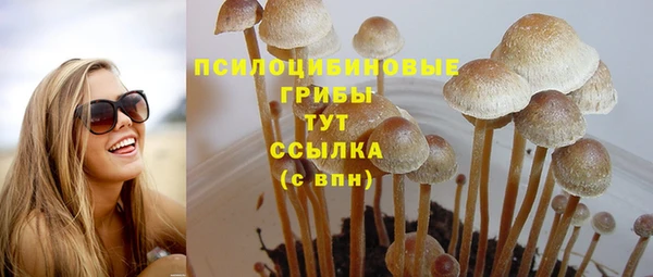 ГАЛЛЮЦИНОГЕННЫЕ ГРИБЫ Дмитровск