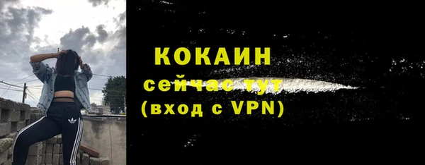 соль ск Алексеевка
