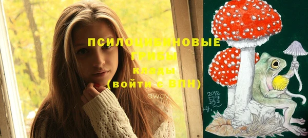 соль ск Алексеевка
