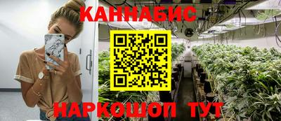 прущие грибы Абакан
