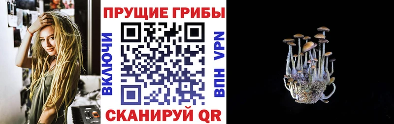 Псилоцибиновые грибы Psilocybe наркошоп hydra ТОР Выкса